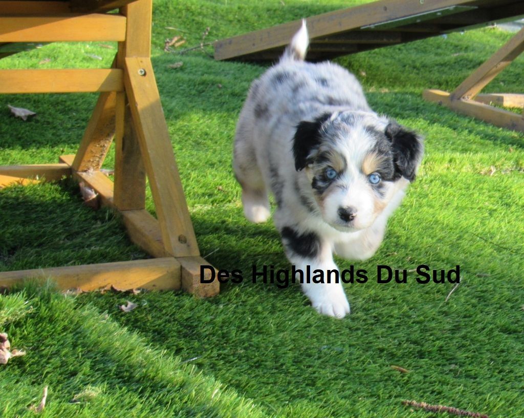 Skye Des Highlands Du Sud