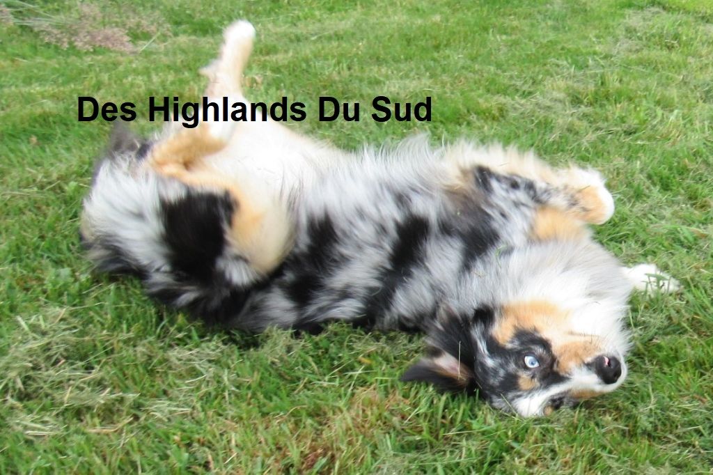 Sun Des Highlands Du Sud