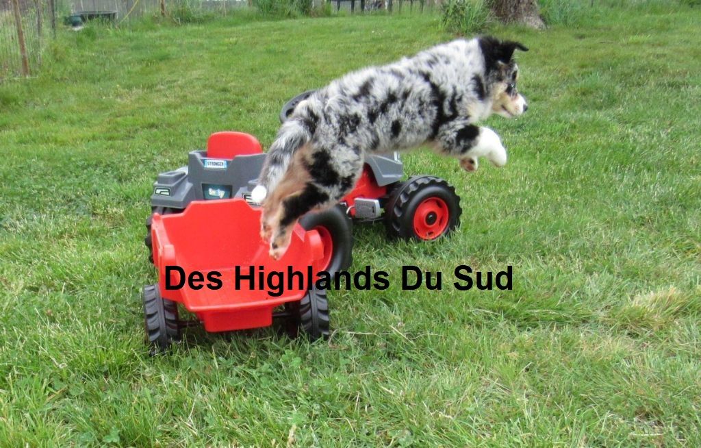 Skye Des Highlands Du Sud