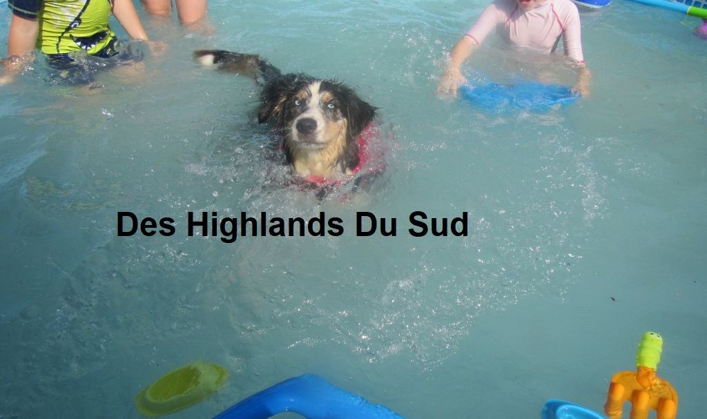 Skye Des Highlands Du Sud