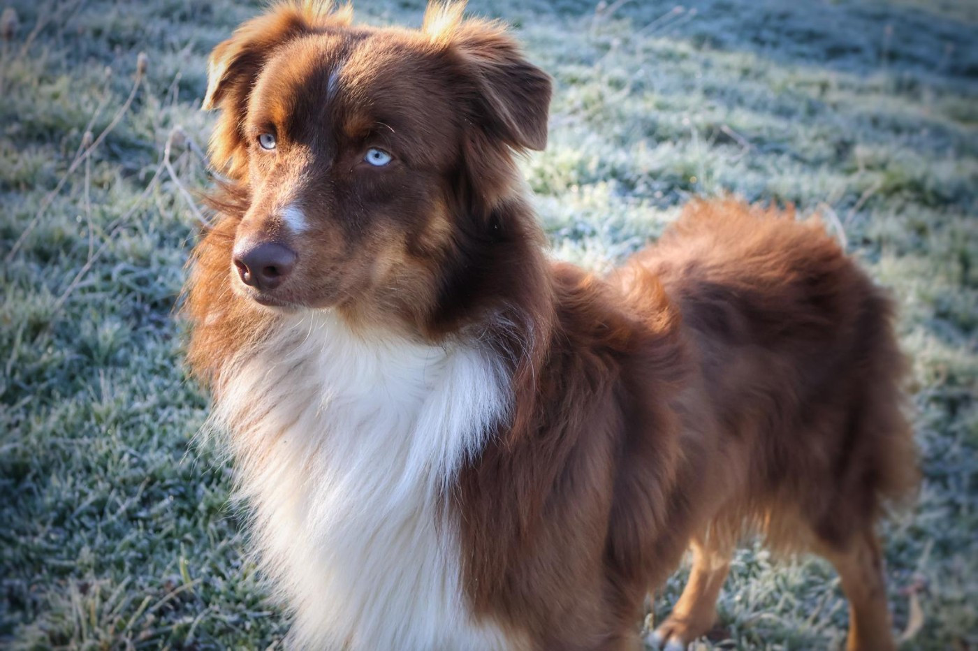 Sanaé Des Highlands Du Sud