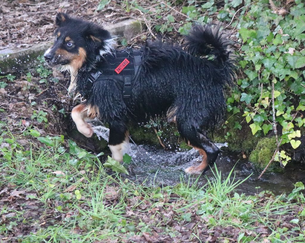 Soka Des Highlands Du Sud
