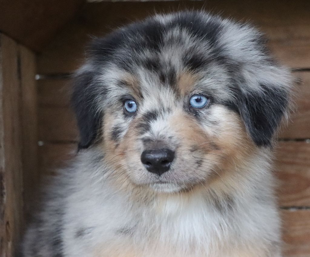 Sky Des Highlands Du Sud